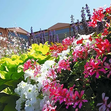 Les Terrasses De Borda*** Dax