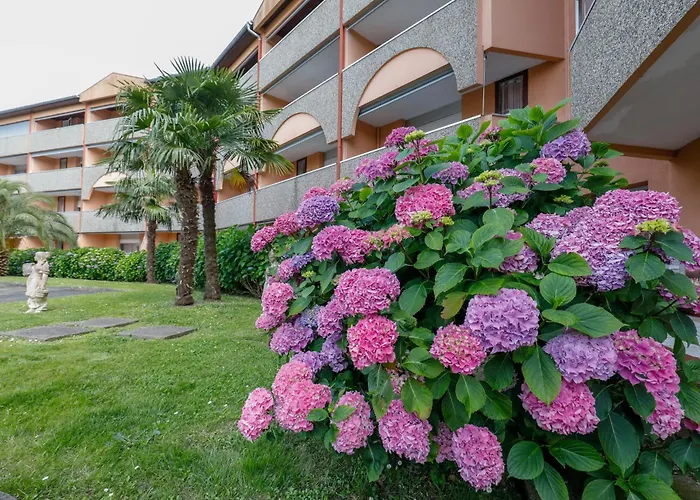 Ośrodek wypoczynkowy Les Terrasses De Borda*** 4*