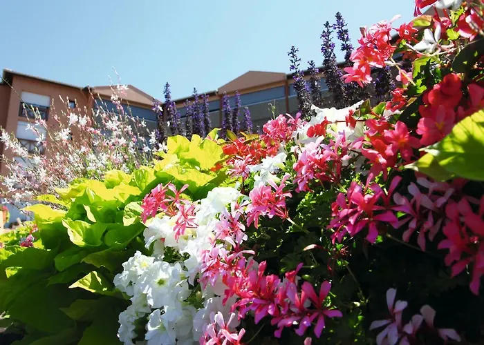 Les Terrasses De Borda*** Ośrodek wypoczynkowy Dax